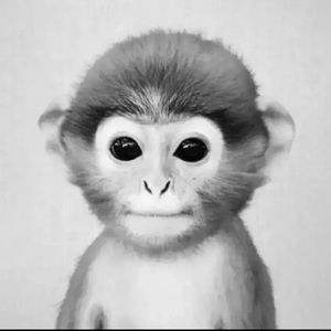 Meet your Posher, Jayden